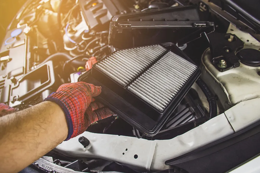 Filter and Fluids Service